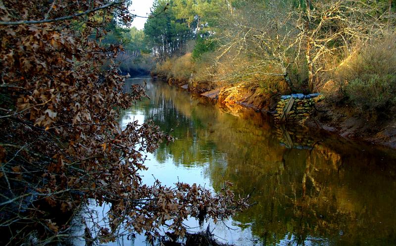 Pibale installation 5.JPG